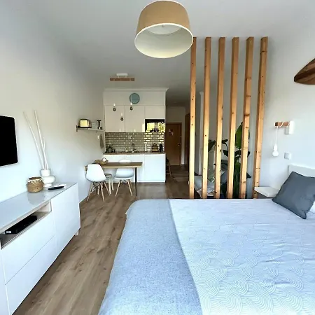 شقة Seaven إيريسييرا